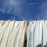 Hamazaki-Wong_Vancouver